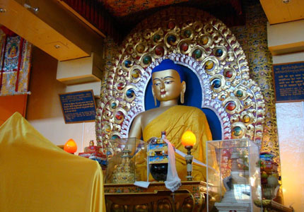 Dharamshala Taxi Tours