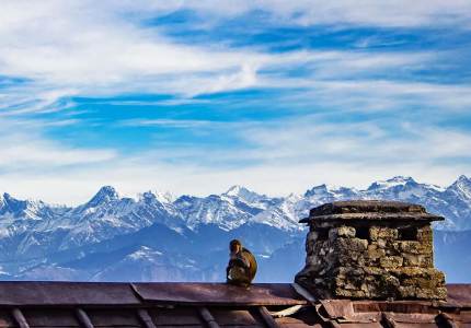 Dalhousie Taxi Tours