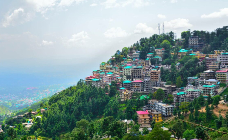 Kangra Hills & Dalhousie Nature Tour