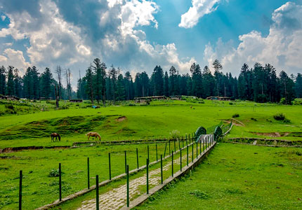 Kashmir Taxi Tours