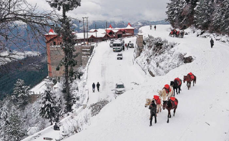 Shimla and Manali Tour from Chandigarh
