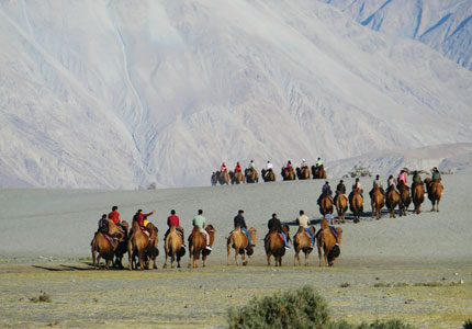 Amritsar Leh Pangong Lakes and Mountains Experience