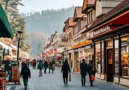 Shimla Taxi Tours