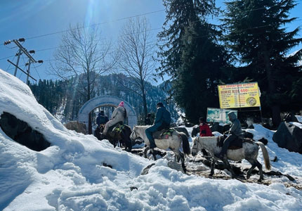 Manali Taxi Tours