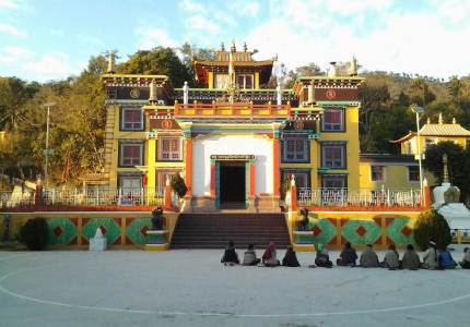 Kangra Hills & Dalhousie Nature Tour