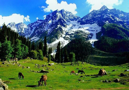 Kashmir Tours