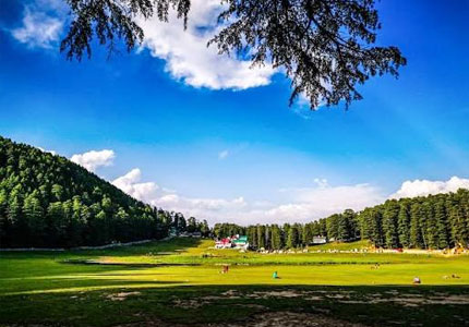 Khajjiar Meadows & Dharamshala Experience Tour