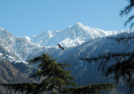 Dharamshala McLeod Ganj Spiritual Escape