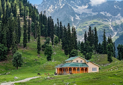 Srinagar Gulmarg Scenic Kashmir Tour Package